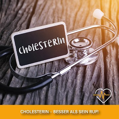 Cholesterin – wichtig für den ganzen Körper!